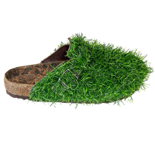 Load image into Gallery viewer, boofnstocks